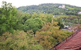 Zentrale Stadtwohnung - direkt am Main, Park-Ausblick